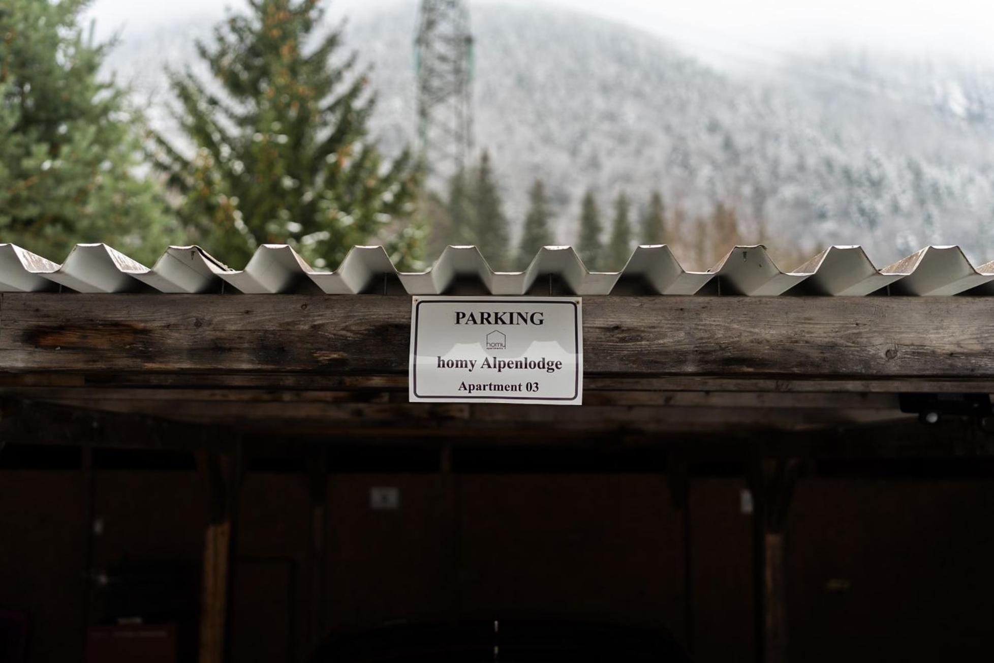 Homy Alpenlodge Innerbraz المظهر الخارجي الصورة